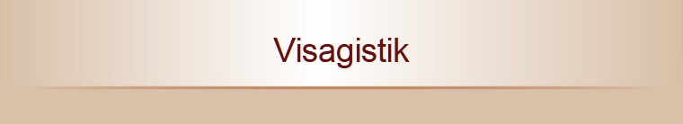 Visagistik